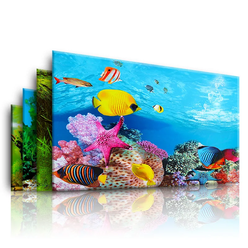 Aquarium Fish Only - Nền Cho Bể Cá 3d Dán