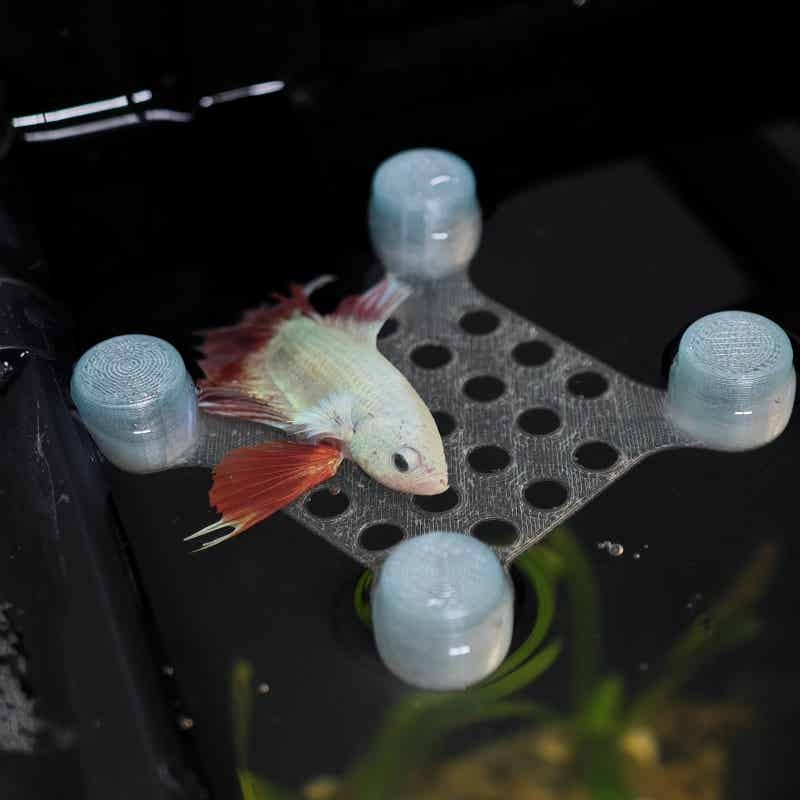 Aquarium Fish Hideout - Betta Fish Rest Bed Suction Cup