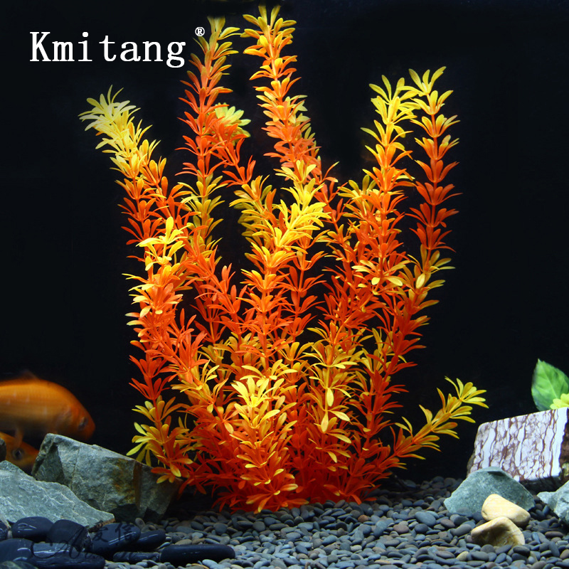 Aquarium Fish Only - 100Cm Thực Vật Nhiệt Đới Lớn