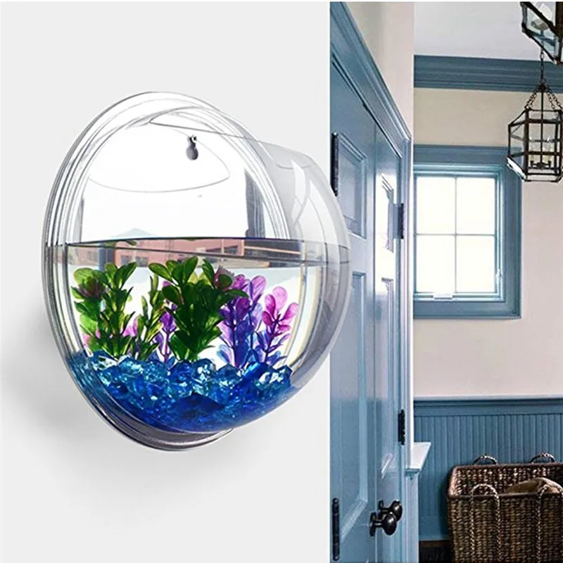 Aquarium Fish Only - Acrylic Trong Suốt Treo Tường Hồ