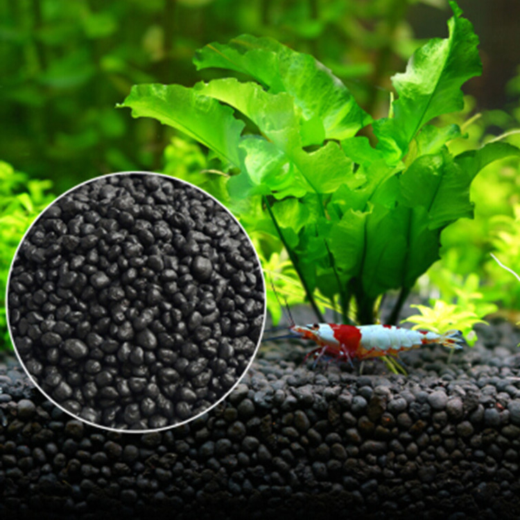 Aquarium Fish Farm - Bể Cá Cảnh Vật Có Hạt