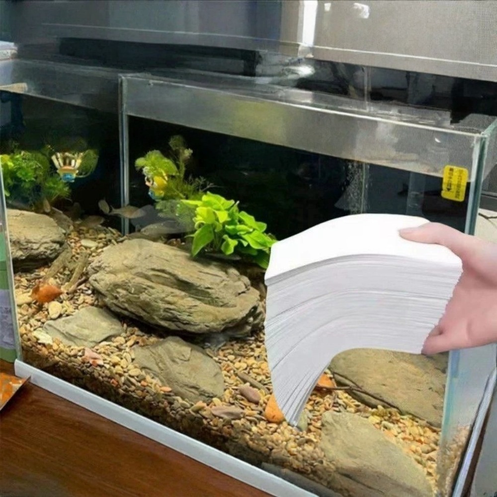 50pcs Multifunctional Filter A - đánh giá và giá Aquarium Fish Yellow