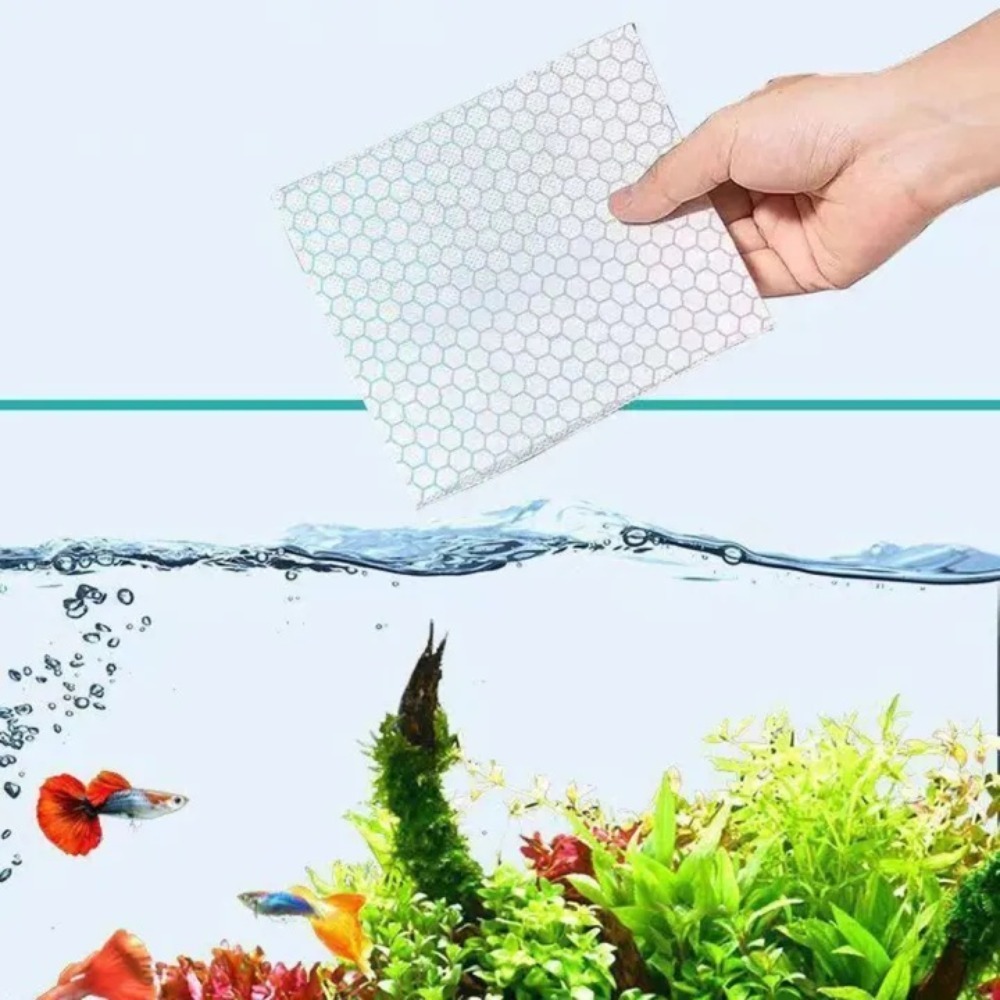 50pcs Multifunctional Filter A - đánh giá và giá Aquarium Fish Yellow