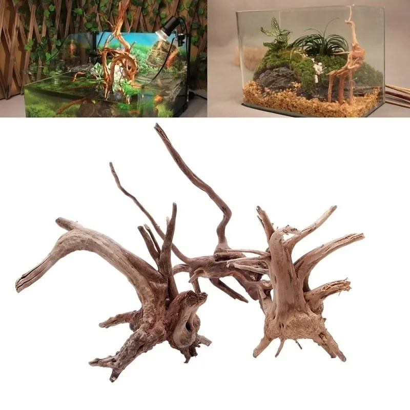 Natural Tree Trunk Driftwood A - đánh giá và giá Aquarium Fish Only