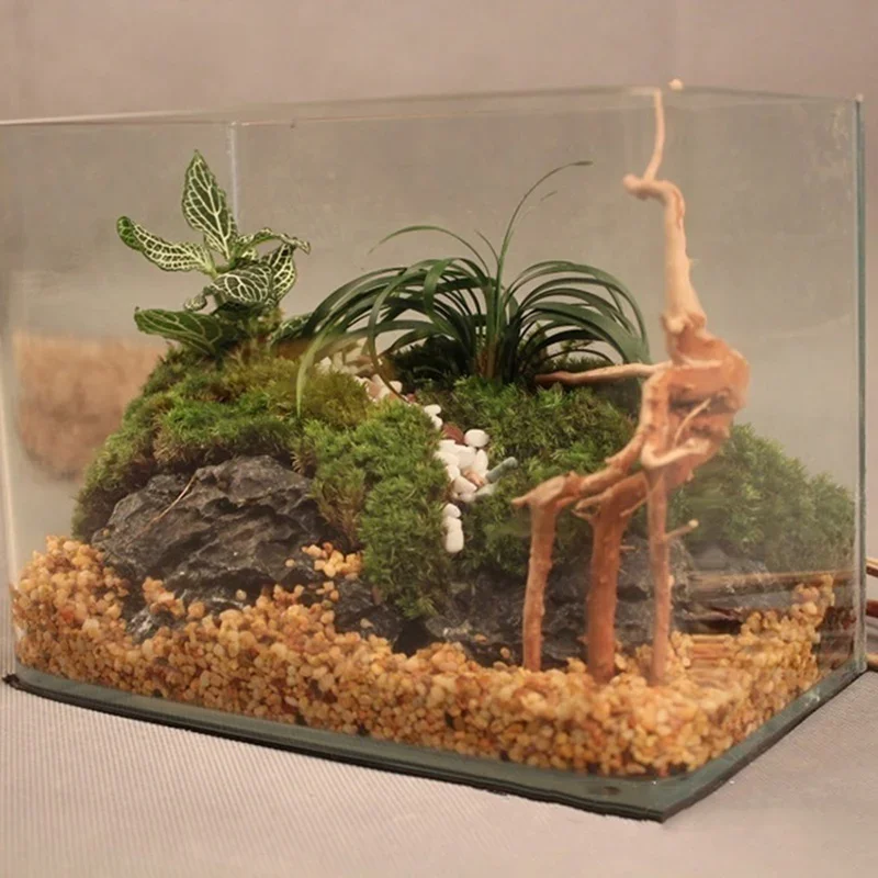 Natural Tree Trunk Driftwood A - đánh giá và giá Aquarium Fish Only