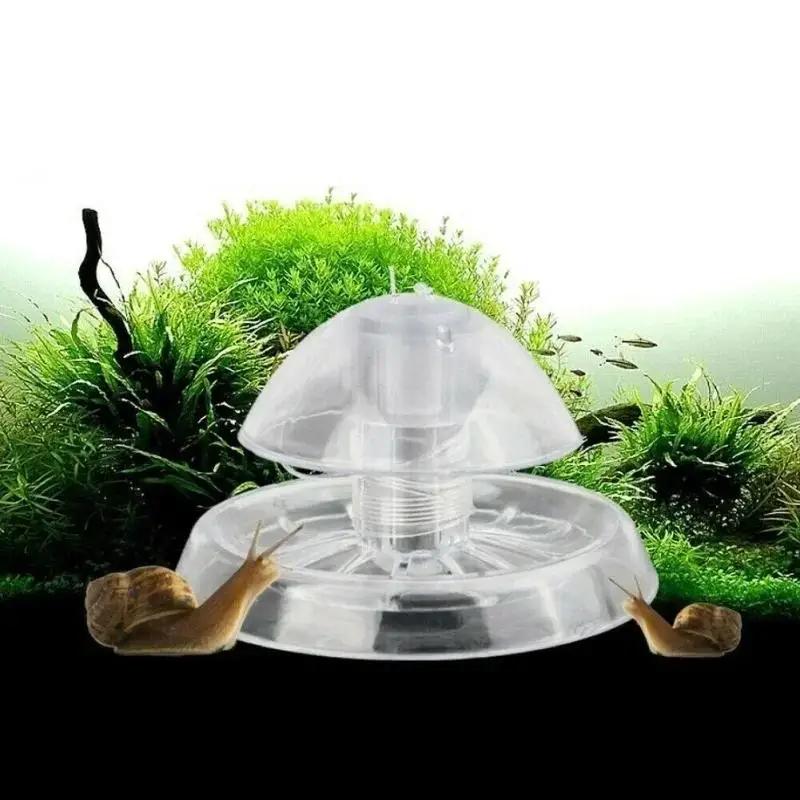2026 New 6/8CM Clear Plastic S - đánh giá và giá Aquarium Fish Farm