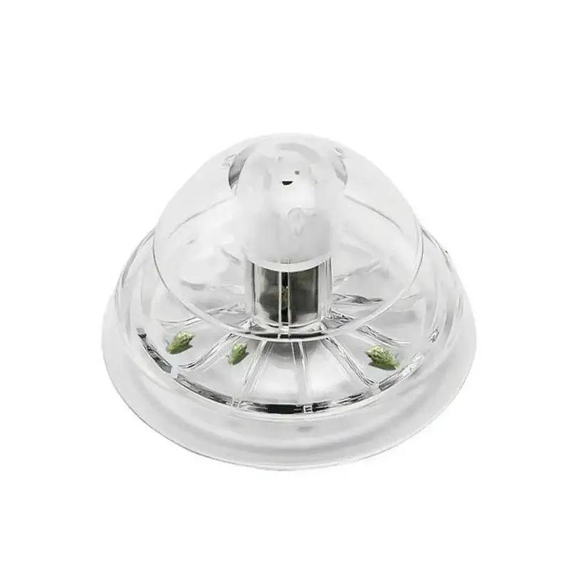 2026 New 6/8CM Clear Plastic S - đánh giá và giá Aquarium Fish Farm