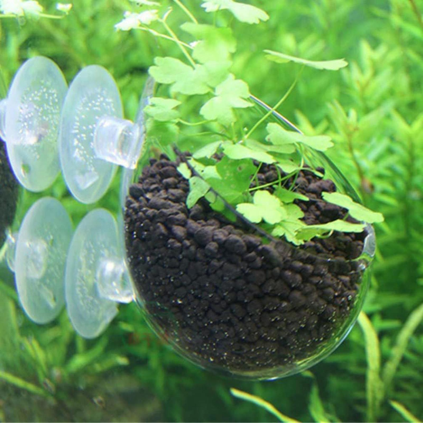 Aquarium Plant Holder Glass Aq - đánh giá và giá Aquarium Fish Only