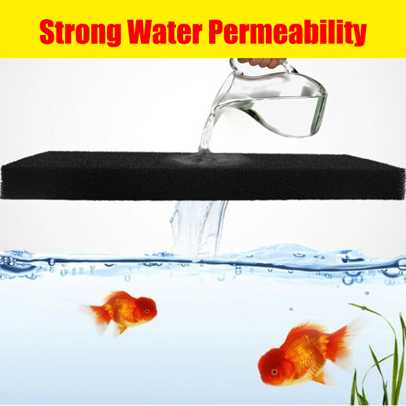 Phụ Kiện Hồ Thủy Sinh Hóa Tran - đánh giá và giá Aquarium Fish Yellow