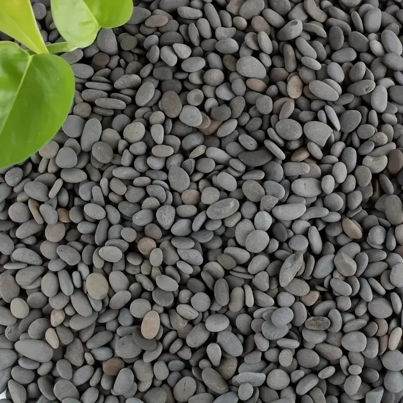 20Pcs Natural River Rocks Smoo - đánh giá và giá Aquarium Decoration Rock