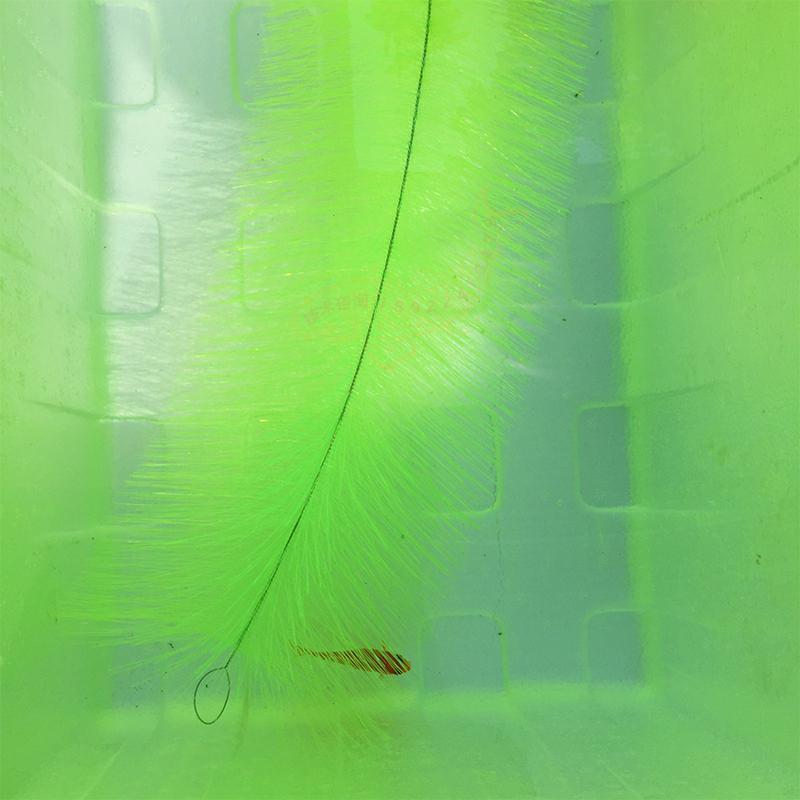 Breeding Grass for Koi Fish Eg - đánh giá và giá Aquarium Fish Farm