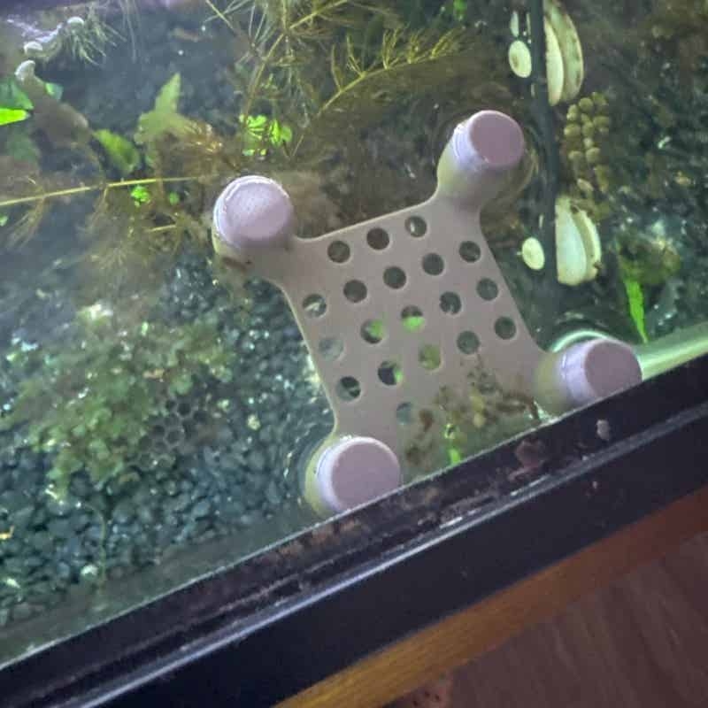 Betta Fish Rest Bed Suction Cu - đánh giá và giá Aquarium Fish Hideout