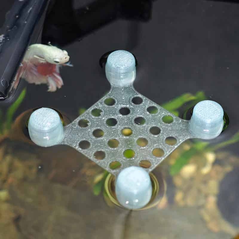 Betta Fish Rest Bed Suction Cu - đánh giá và giá Aquarium Fish Hideout