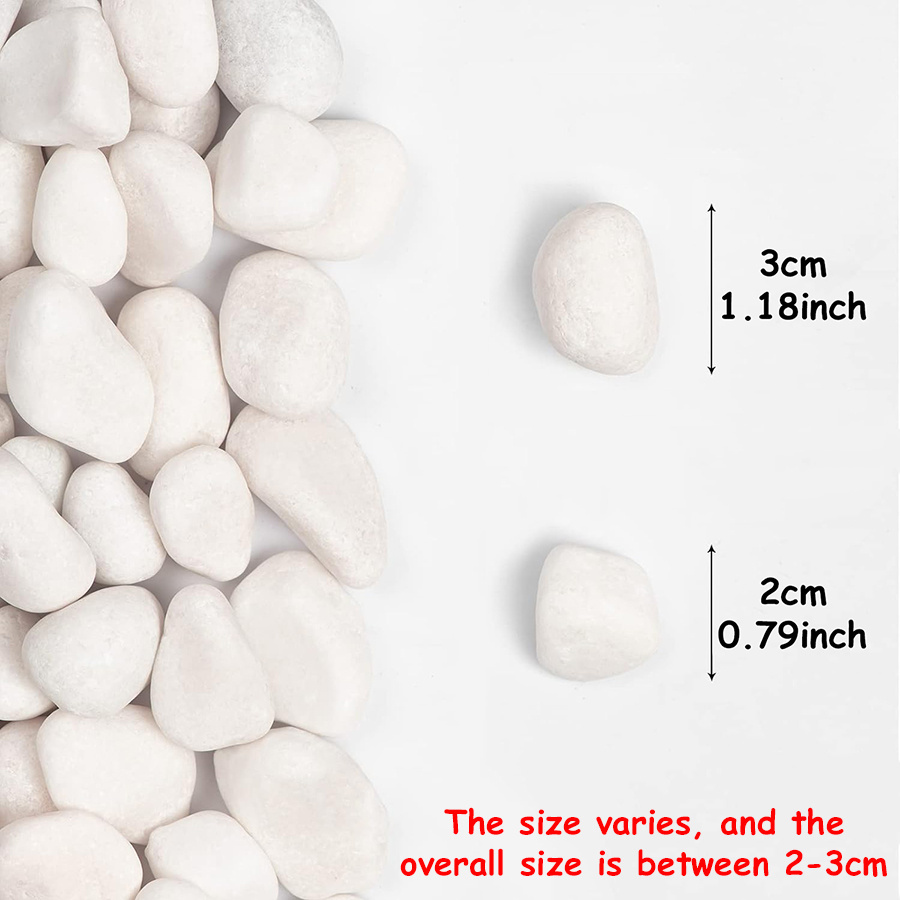 200/400g White High Polished N - đánh giá và giá Aquarium Decoration Rock