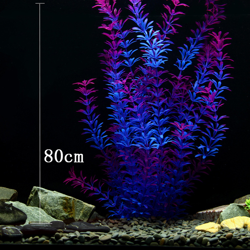 100Cm Thực Vật Nhiệt Đới Lớn N - đánh giá và giá Aquarium Fish Only