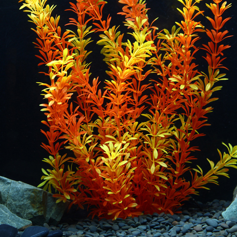 100Cm Thực Vật Nhiệt Đới Lớn N - đánh giá và giá Aquarium Fish Only