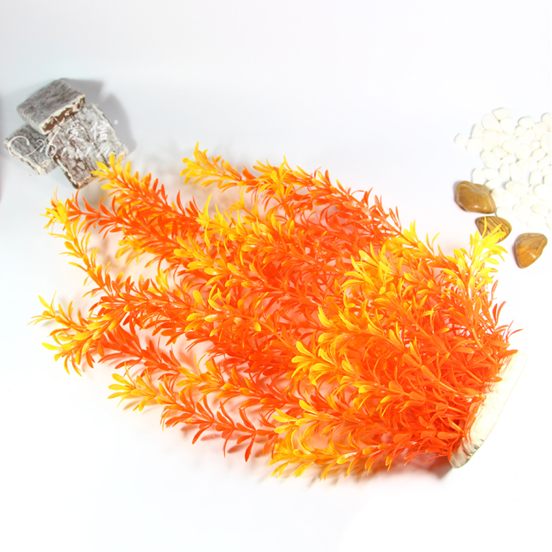 100Cm Thực Vật Nhiệt Đới Lớn N - đánh giá và giá Aquarium Fish Only