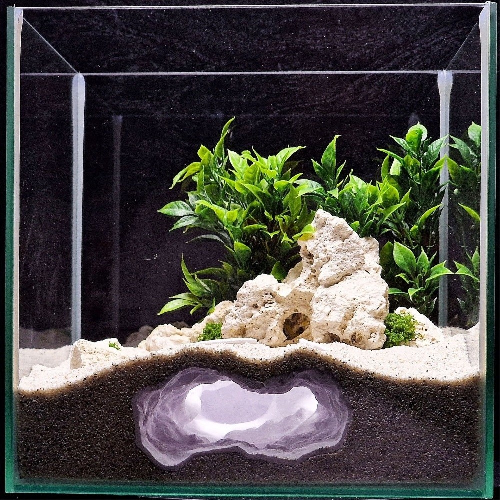Highly Simulated Aquarium Fish - đánh giá và giá Aquarium Fish Hideout