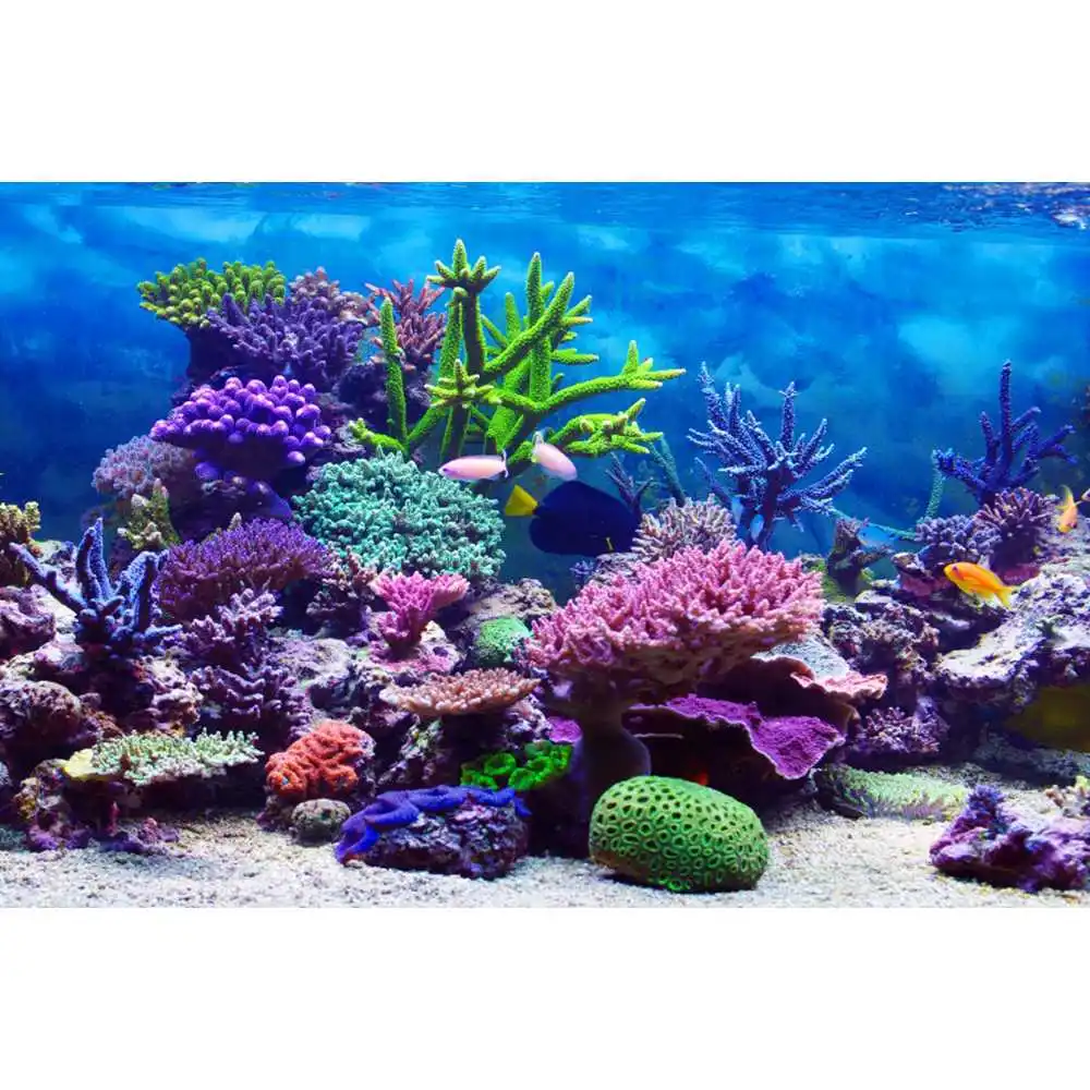 Underwater World Seabed Backdr - đánh giá và giá Aquarium Fish Of The World