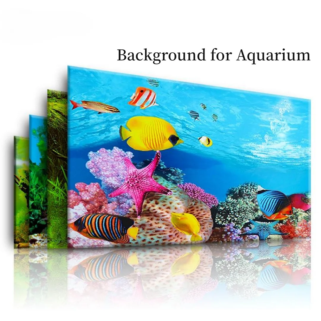 Background Aquarium 3D Sticker - đánh giá và giá Aquarium Fish Only