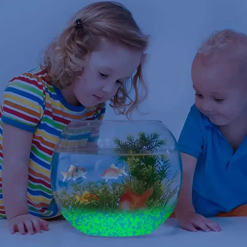 1000pcs 3-5mm Luminous Sand Gl - đánh giá và giá Aquarium Decoration Rock
