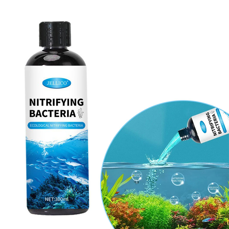 Nitrifying Bacteria Liquid Fis - đánh giá và giá Aquarium Fish Farm
