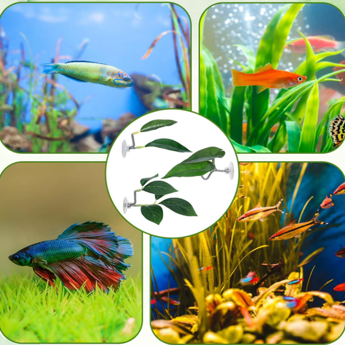 1 PC Betta Fish Hammock Soft A - đánh giá và giá Aquarium Fish Only