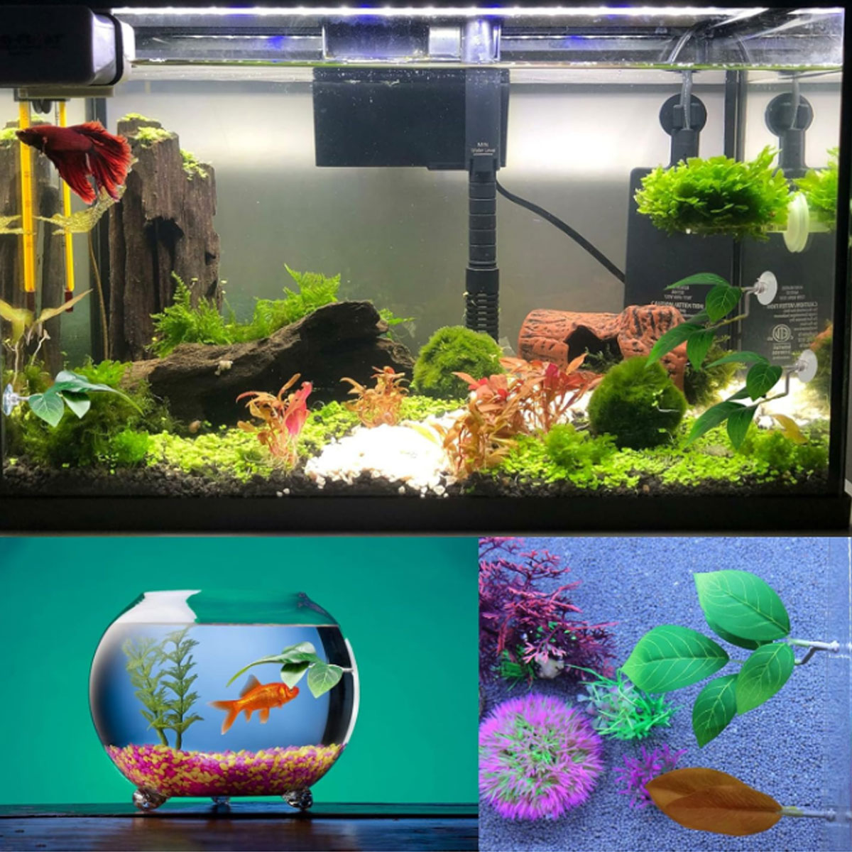 1 PC Betta Fish Hammock Soft A - đánh giá và giá Aquarium Fish Only