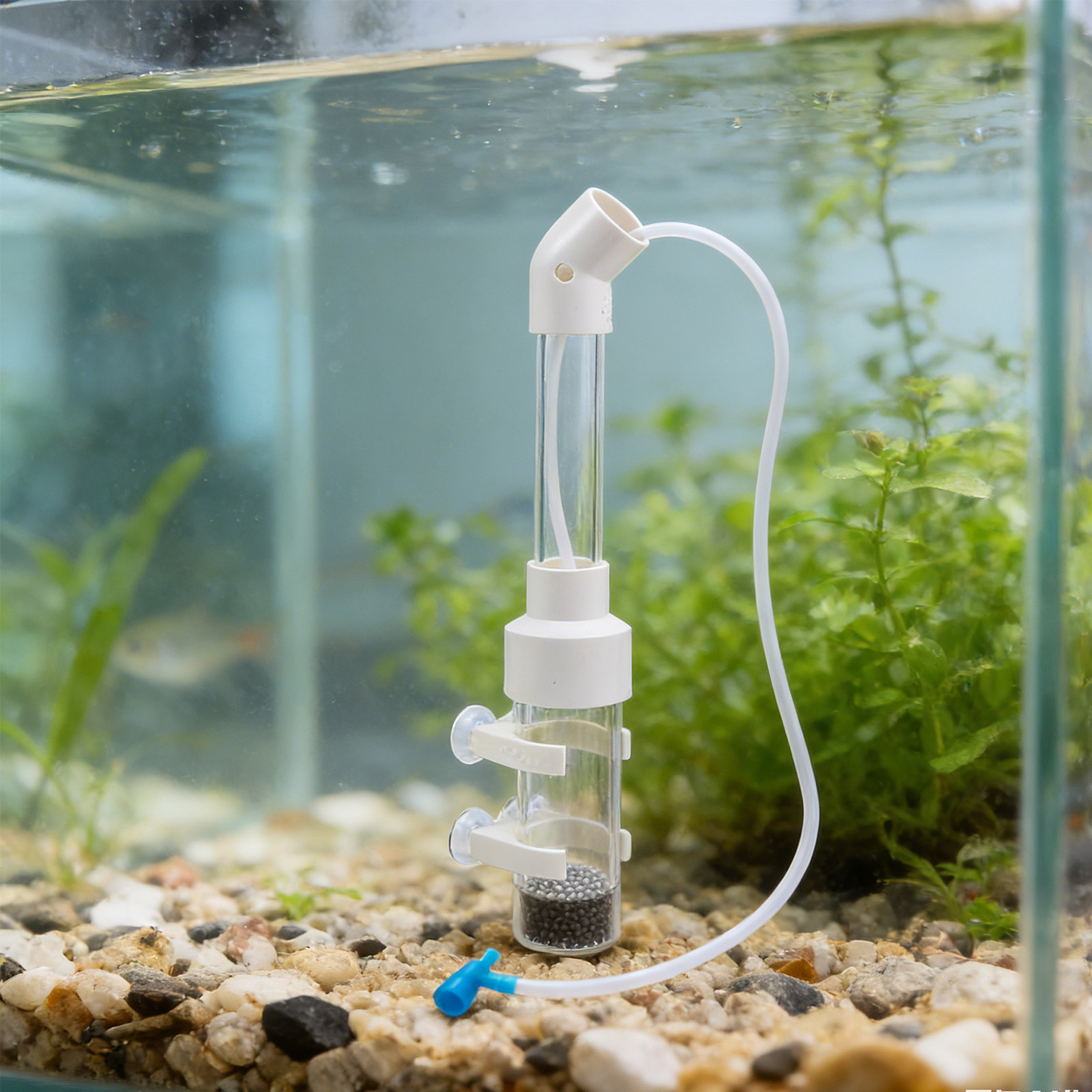2Sets Fish Egg Incubator Kit A - đánh giá và giá Aquarium Fish In