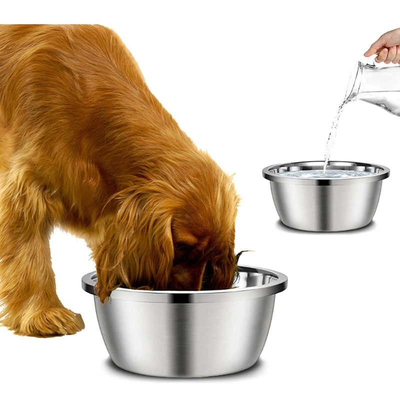 Stainless Steel Dog Feeders 20 - đánh giá và giá Royal Canin Food Medium