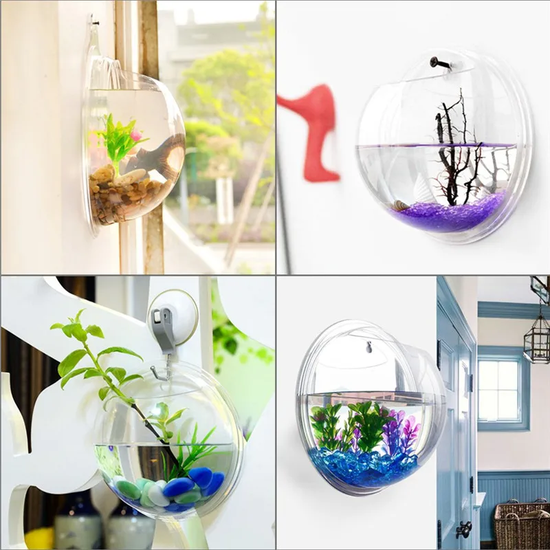 Acrylic Trong Suốt Treo Tường  - đánh giá và giá Aquarium Fish Only