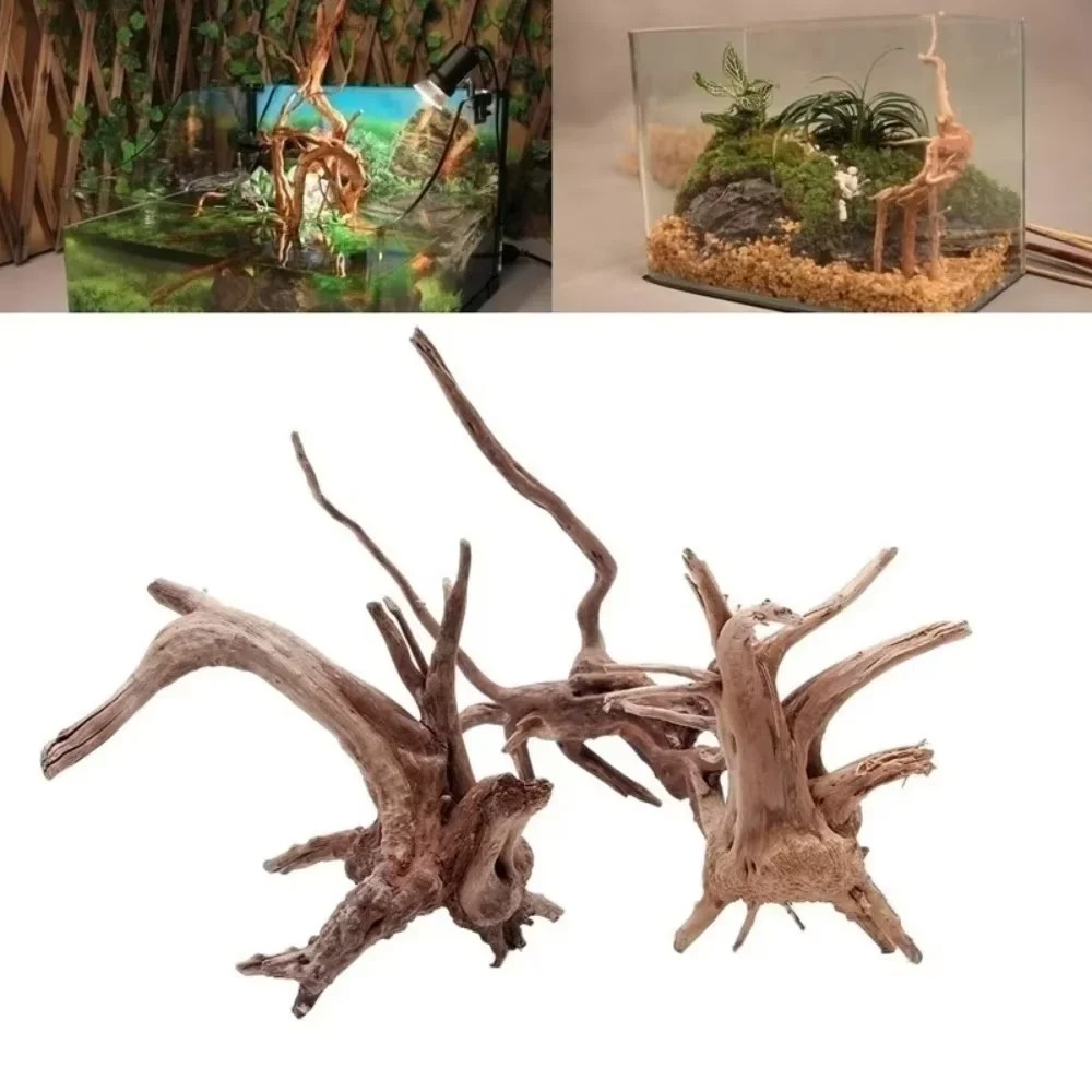 （15-20cm） Natural Driftwood Aq - đánh giá và giá Aquarium Fish Farm