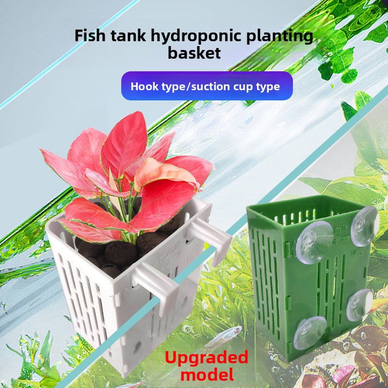 1PC Wall Mounted Hydroponics P - đánh giá và giá Aquarium Fish Only