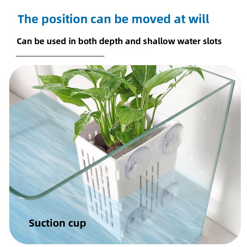 1PC Wall Mounted Hydroponics P - đánh giá và giá Aquarium Fish Only
