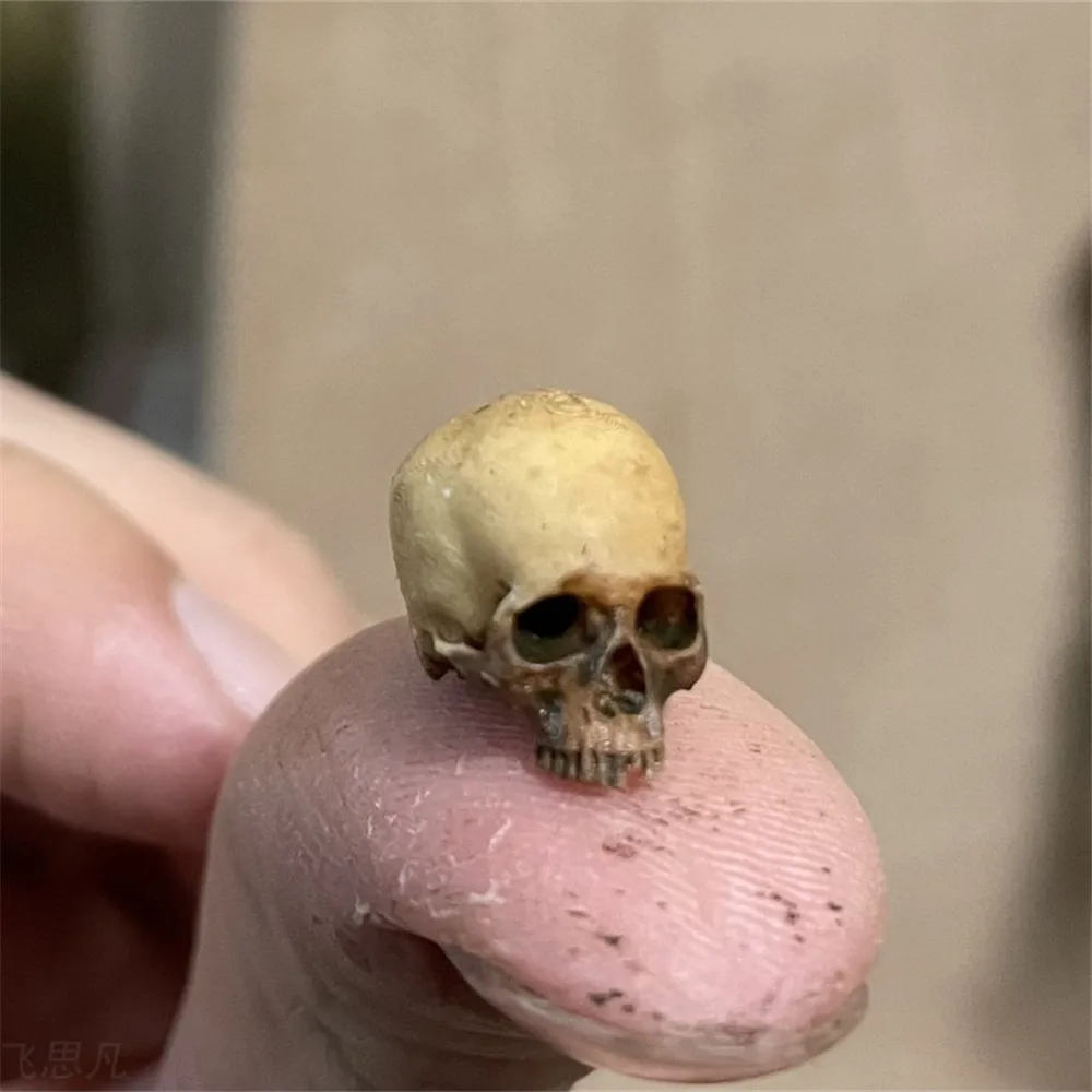 Mini Skull High Quality Miniat - đánh giá và giá Aquarium Fish Only