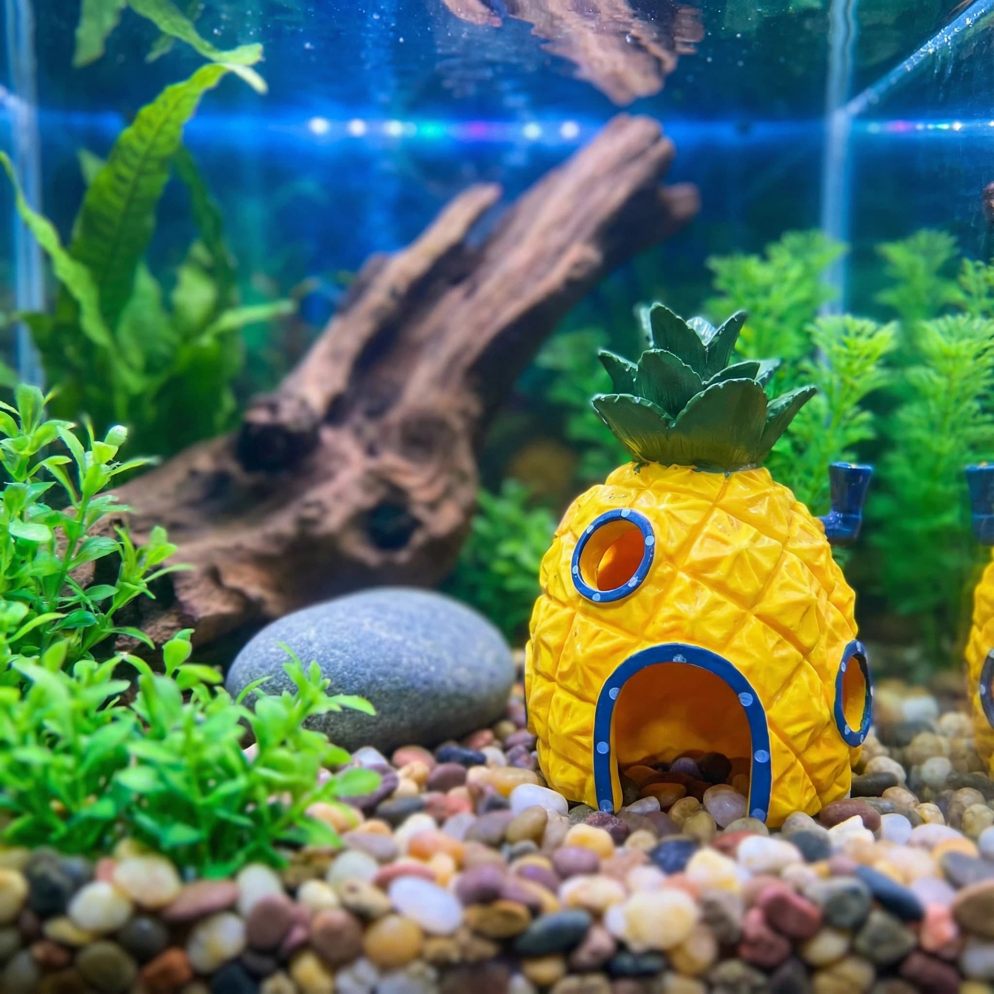 Pineapple House Aquarium Decor - đánh giá và giá Aquarium Fish Hideout