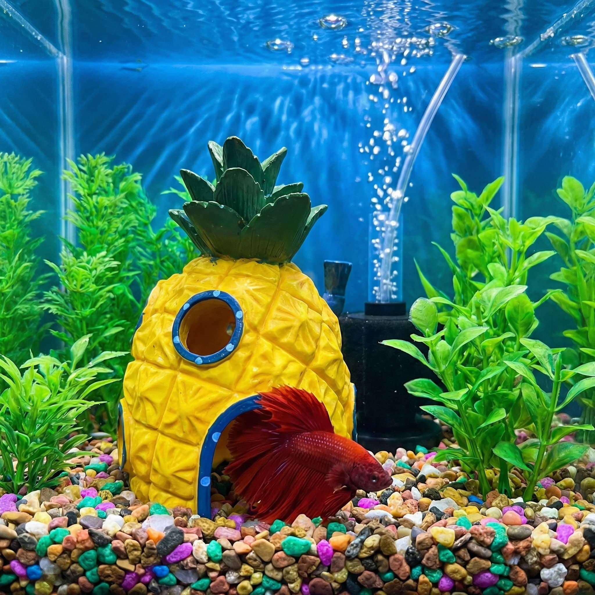 Pineapple House Aquarium Decor - đánh giá và giá Aquarium Fish Hideout
