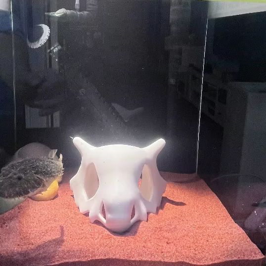 3D Printed FIsh Shrimp Reptile - đánh giá và giá Aquarium Fish Hideout