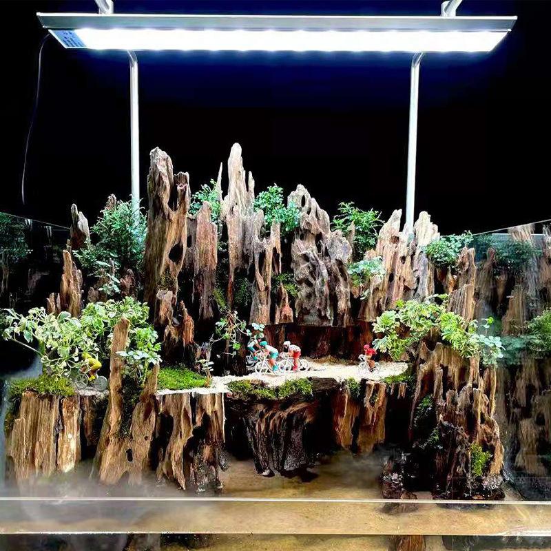 △ Shrimp Wood Aquarium Decor,  - đánh giá và giá Aquarium Fish Only