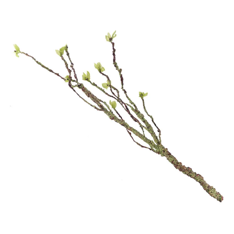 Vines Decor Climbing Branches  - đánh giá và giá Aquarium Fish Only